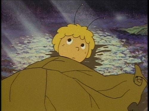 Maya the Bee Season 2 Episode 1 - Maya Meets Alexander the Great