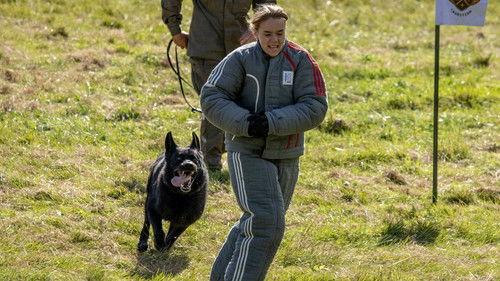 Celebrity Task Force Season 4 Episode 15 - Episode 15