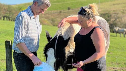 This Farming Life Season 7 Episode 9 - Summer Festival Fun and Games