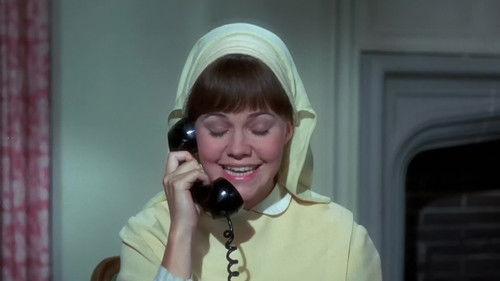 The Flying Nun Season 3 Episode 6 - Guess Who's Coming To Picket