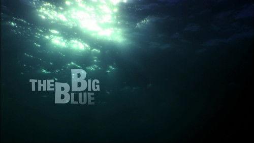 Water Life Season 1 Episode 22 - The Big Blue