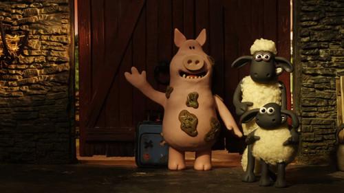 Shaun the Sheep Season 5 Episode 7 - Dodgy Lodger