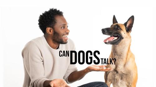 The Nature of Things Season 65 Episode 7 - Can Dogs Talk?