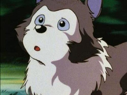 Robin Hood's Big Adventure Season 1 Episode 14 - The Sun rises on a new day