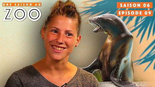 Une saison au zoo Season 6 Episode 9 - Episode 9