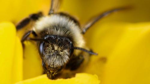 Springwatch Season 18 Episode 6 - Episode 6