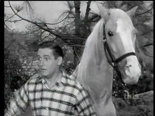 Mister Ed Season 2 Episode 7 - Hunting Show