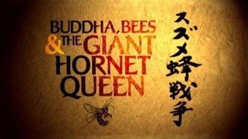 Natural World Season 25 Episode 8 - Buddha, Bees and the Giant Hornet Queen