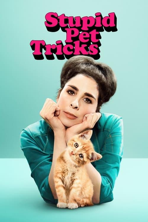 Stupid Pet Tricks poster
