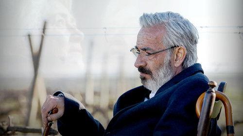 Cuéntame cómo pasó Season 21 Episode 19 - Episode 19