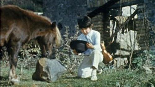 Poly Season 7 Episode 9 - Episode 9