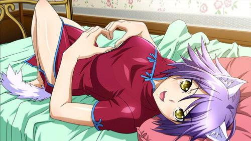 Background image for Fall, a Summer Experience