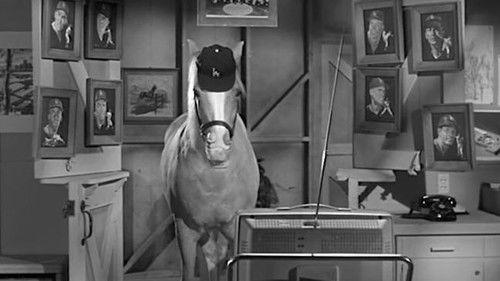 Mister Ed Season 4 Episode 1 - Leo Durocher Meets Mister Ed