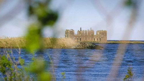 What on Earth? Season 9 Episode 5 - America’s Swamp Castle