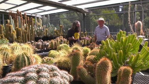 Gardening Australia Season 31 Episode 15 - Episode 15