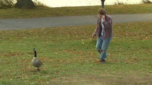 Nirvana the Band the Show Season 1 Episode 7 - The Battle Of The Bands