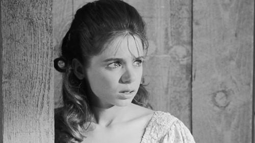 Cheyenne Season 7 Episode 3 - Sweet Sam