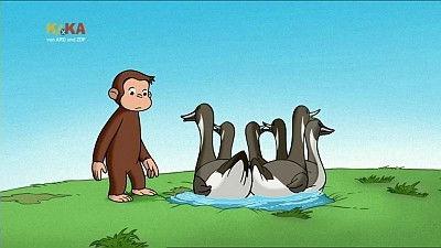 Curious George Season 1 Episode 21 - Water to Ducks