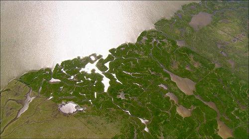 Wild Germany Season 1 Episode 4 - Western Pomerania coast