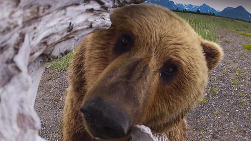 Background image for The Adventure Begins