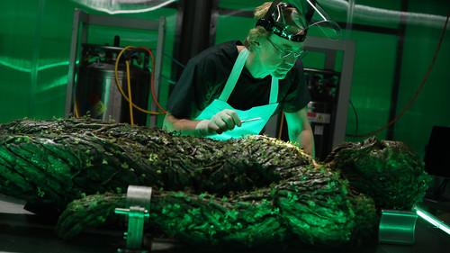 Swamp Thing Season 1 Episode 9 - The Anatomy Lesson