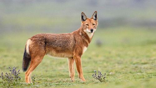 Queens Season 1 Episode 5 - Mountain Queens