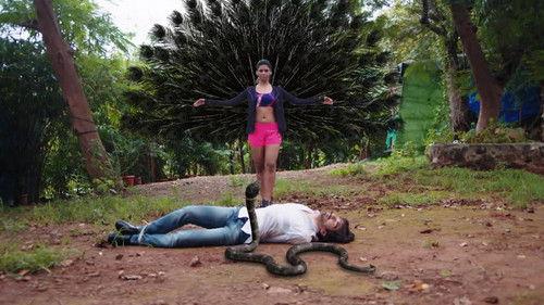 Naagin Season 5 Episode 13 - A Stranger Comes to Jay's Rescue!