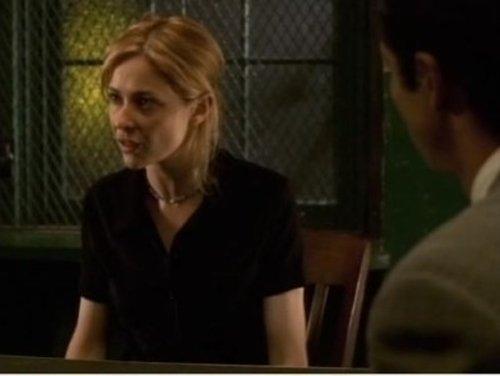 Law & Order Season 9 Episode 4 - Flight