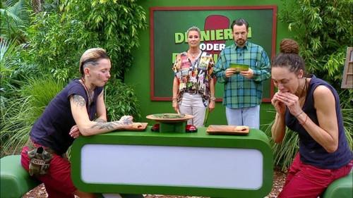 Ich bin ein Star – Holt mich hier raus! Season 18 Episode 12 - Episode 12