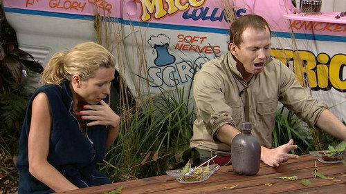 I'm a Celebrity...Get Me Out of Here! Season 8 Episode 2 - I Scream Van