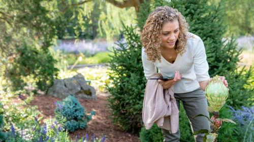 Good Witch Season 3 Episode 1 - A Budding Romance