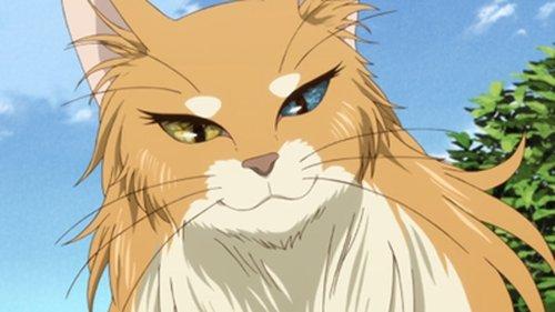 The Ancient Magus' Bride Season 1 Episode 4 - Everything must have a beginning.