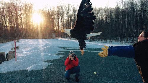 Hôpital vétérinaire Season 5 Episode 9 - Episode 9