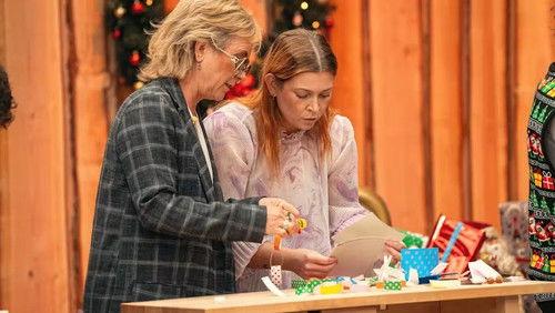 24 stjerners julekalender Season 1 Episode 9 - Episode 9