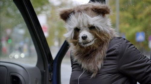 The Peppercorns Season 16 Episode 12 - Waschbär und Kaninchen