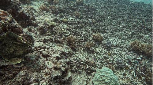 Impossible Repairs Season 4 Episode 5 - Reef Rescue