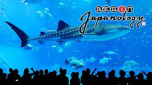 Begin Japanology Season 5 Episode 20 - Aquariums
