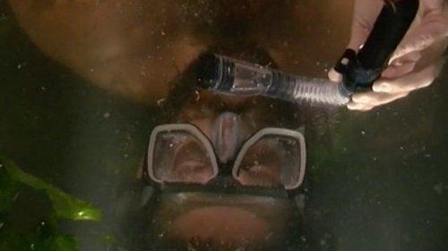 The Challenge Season 6 Episode 15 - Human Aquarium