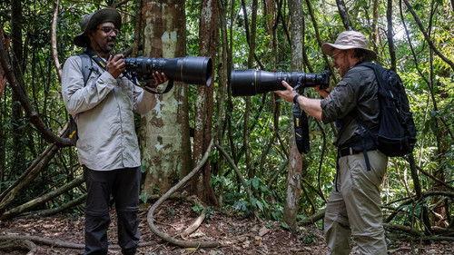 Rob & Romesh Vs Season 8 Episode 3 - The Jungle