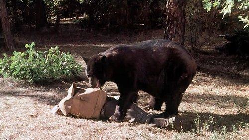 Little House on the Prairie Season 2 Episode 12 - His Father's Son