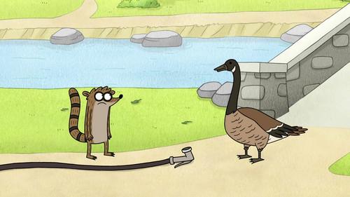 Regular Show Season 4 Episode 19 - A Bunch of Full Grown Geese