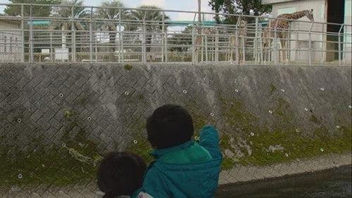 Document 72 Hours Season 8 Episode 8 - A Walking Path Where You Can See Giraffes