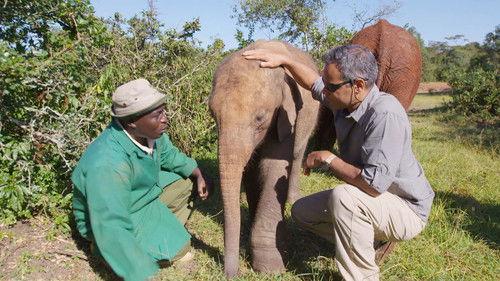 Real Sports with Bryant Gumbel Season 21 Episode 11 - Episode 224 - The Killing Fields / Magic Mike