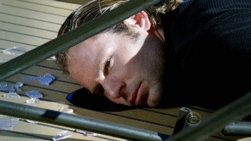 CSI: NY Season 6 Episode 8 - Cuckoo's Nest