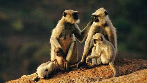 Deadly Instincts Season 1 Episode 4 - Blood Lines