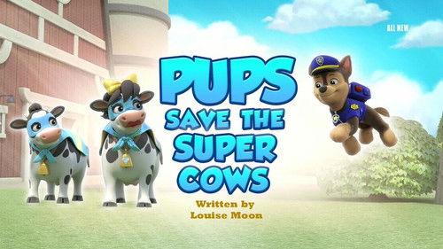 PAW Patrol Season 11 Episode 12 - Pups Save the Super Cows