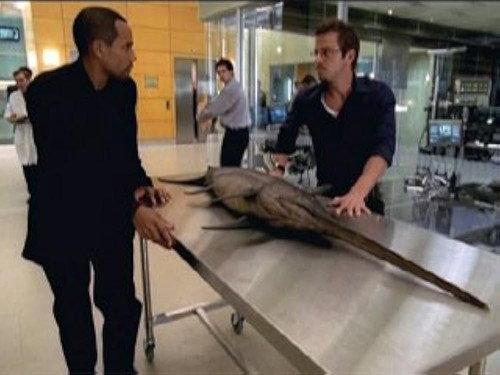 CSI: NY Season 2 Episode 5 - Dancing With The Fishes