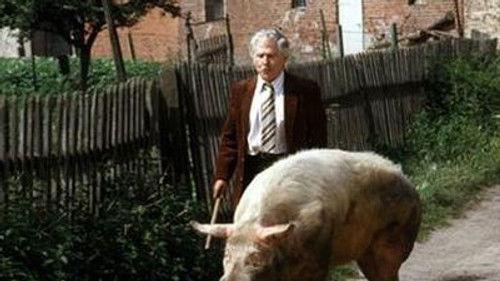 Polizeiruf 110 Season 19 Episode 1 - Mitternachtsfall