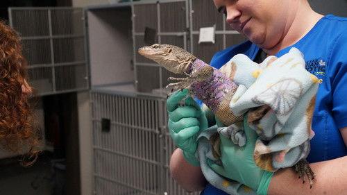 Dr. T, Lone Star Vet Season 1 Episode 5 - Fishin' Impossible