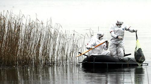 Ossi di Seppia - Il rumore della memoria Season 2 Episode 1 - Episode 1